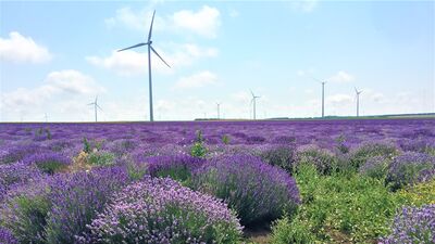 Karadeniz'in altın kumsalı Varna