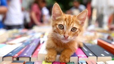 Kadıköy'de kitap kokusu var...