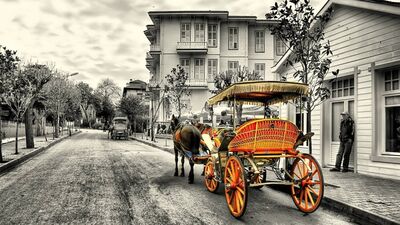 Adalar'da fayton yasaklandı