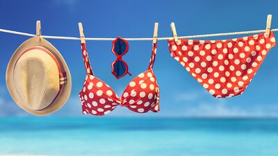 Sahillere damgasını vuracak 15 bikini modeli