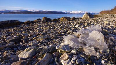Güle güle plastik poşet
