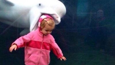 Fotoğrafa dikkatlice bakın!