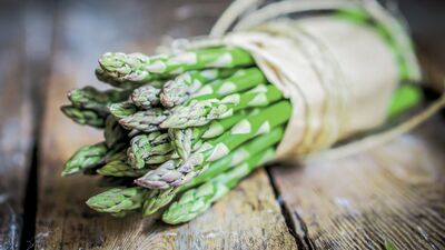 Yumurtalı kuşkonmaz