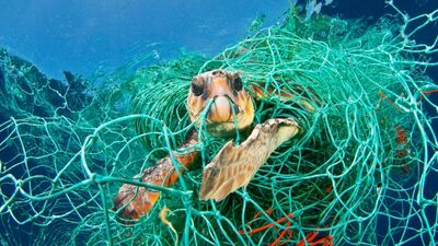 Akdeniz'e en çok plastik atan ülkeyiz