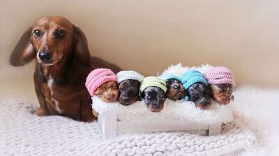 Gülümseten fotoğraflar