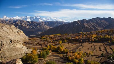 Koşmayı bırakalım mı?