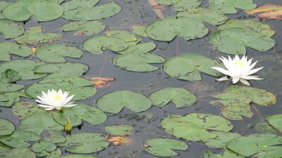 Hayatın içinden - 3