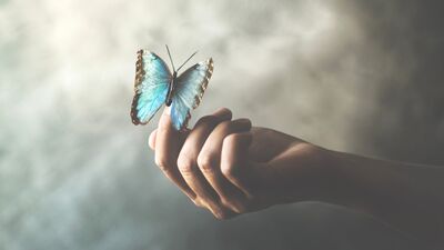 Başarılı kariyerin anahtarı: Özşefkat