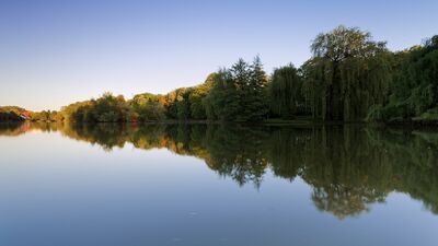 Hayatın içinden - 5