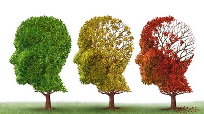Hamileliğin Alzheimer üzerindeki etkisi nedir?