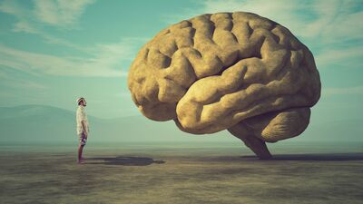 Beynin orkestra şefi: Hipofiz bezi