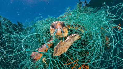 Çevreyi koruyan küçük ama etkili adımlar