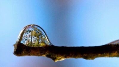 "Keşke ben çekseydim!" diyeceğiniz fotoğraflar