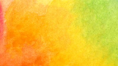 Cinsiyetlere özgürlük