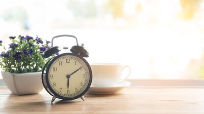 Hayatın içinden - 17