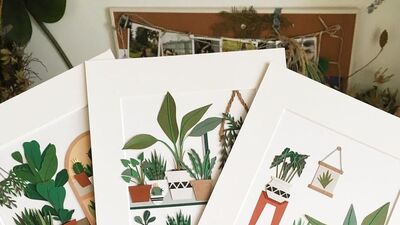 Minik bitkileri duvarınıza taşımak ister misiniz?