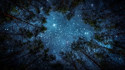 30 Ağustos günlük burç yorumunuz