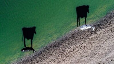Gölgelerin gücü adına!