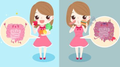 Bağırsak sağlığınızı korumak için...