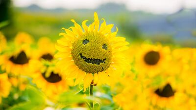 Yaşam zincirimiz...