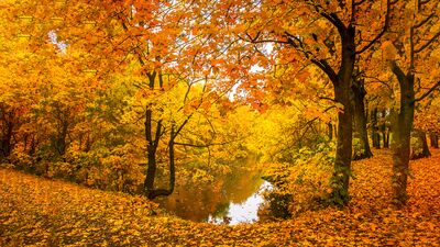 Bazen üşümek de güzeldir!