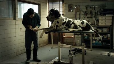 Sevgi mi, yoksa intikam mı?