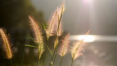 Denge en büyük ihtiyaç