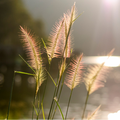 Denge en büyük ihtiyaç