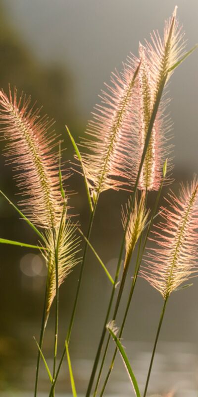 Denge en büyük ihtiyaç