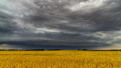 Hayatın içinden - 27