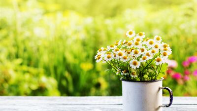 Hastalıkların panzehiri pozitif düşünce