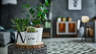 Küçük evleri kullanışlı hale getirebilirsiniz!