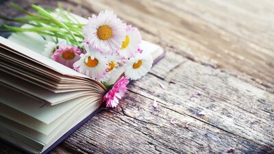 "Her Şeyi Baştan Anlat"