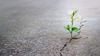 Sen çok iyi bir insansın, arkadaş kalalım