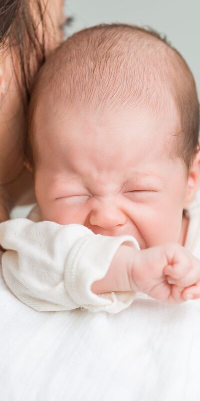 Bebek demek emek demek