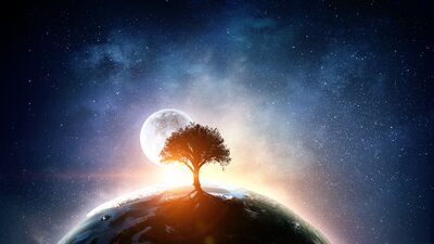 2019&#039;da burçları neler bekliyor?