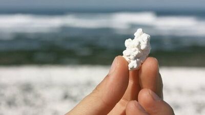 Doğa harikası: Popcorn Plajı