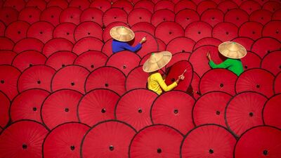 2018 Sony Dünya Fotoğraf Ödülleri'nden büyüleyici fotoğraflar