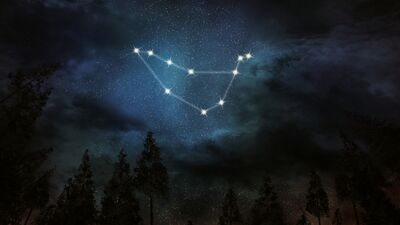 2019 yılında Oğlak burcunu neler bekliyor?