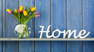 2019'da dekorasyonda en popüler renkler