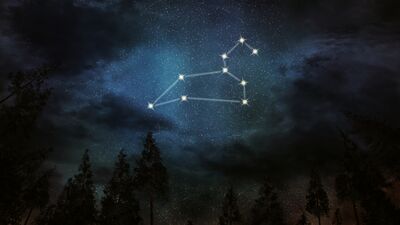 2019 yılında aslan burcunu neler bekliyor?