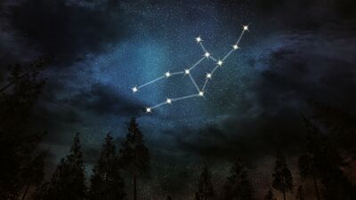 2019 yılında başak burcunu neler bekliyor?