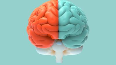 Yanlış biliyoruz: Erkek ve kadın beyni farklı değil!