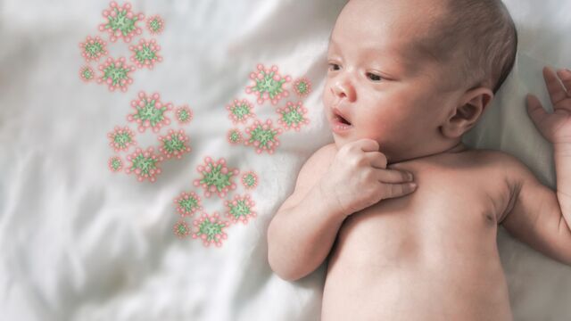 Bebeklerde bağışıklık sistemi nasıl gelişir?