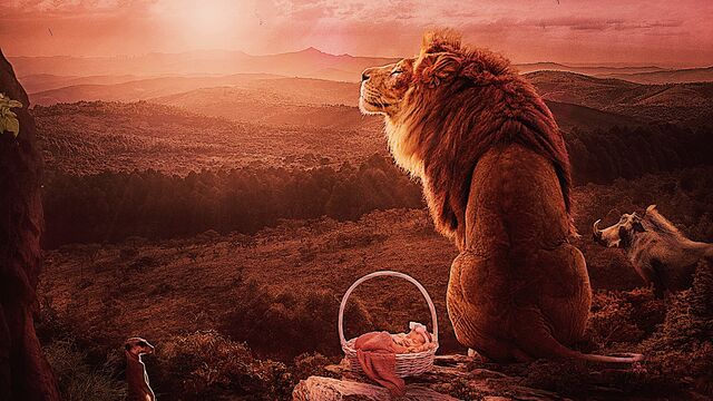 Nesli tükenmekte olan hayvanların etkileyici portreleri