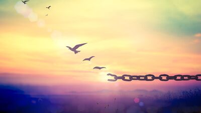 Affetmeyi başarabilmek