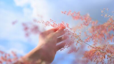 Haftaya sakin bir başlangıç için...