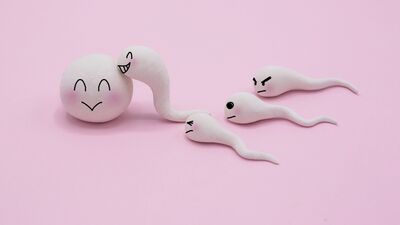 Erkeklerde üreme ihtimalini artırmanın yolları nelerdir?