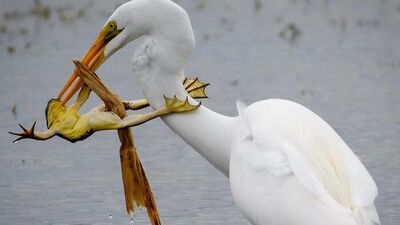 Instagram'ın en çarpıcı 30 fotoğrafı