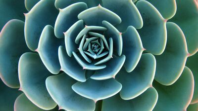 Menopoz döneminde hangi hormonal değişiklikler olur?